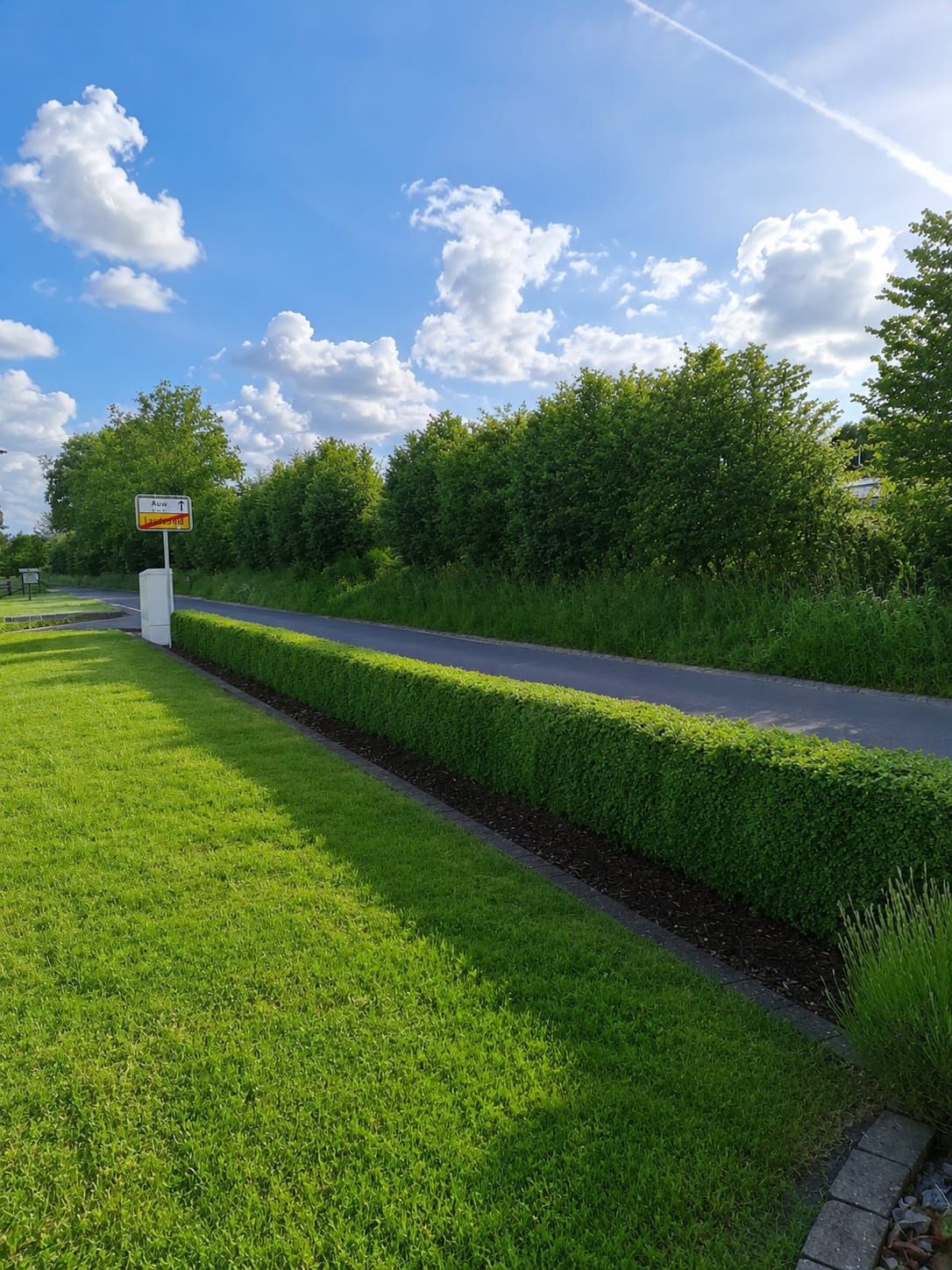 Gepflegte Grünanlage und Hecke entlang eines Grundstücks